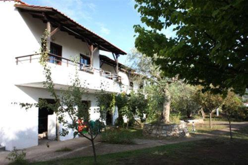 Olive Studios And Apartments Skala Potamia  Eksteriør billede